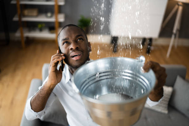 Best Ceiling water damage repair  in Bement, IL
