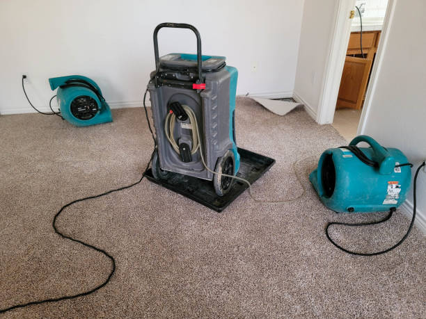 Water damage restoration process in IL