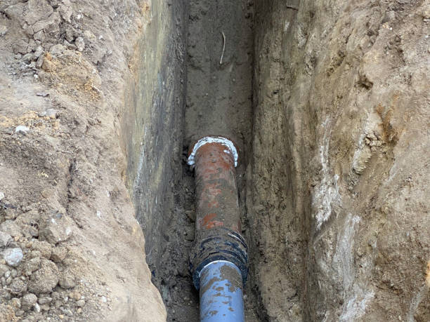 Best Flood restoration services  in Bement, IL