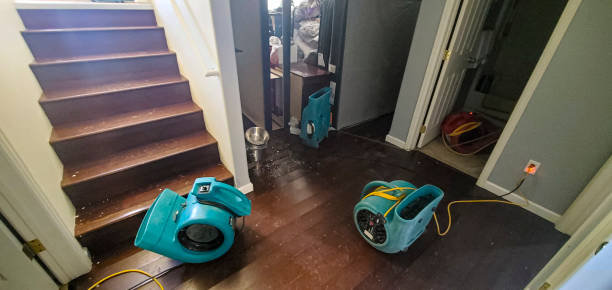  Bement, IL Water damage restoration Pros