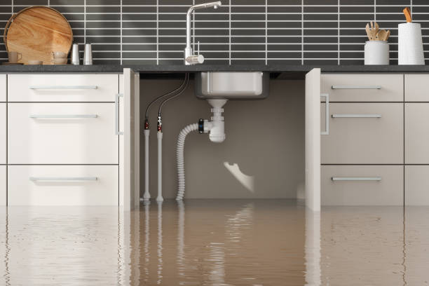 Best Fire Damage Restoration  in Bement, IL