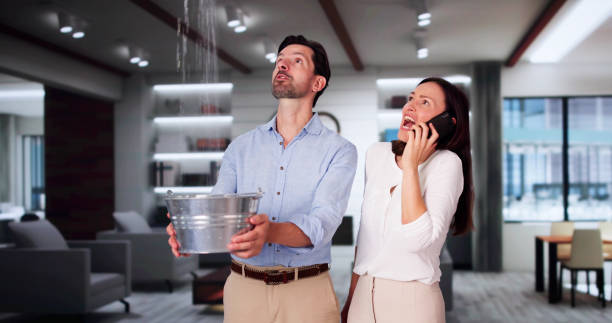 Best Residential water damage restoration  in Bement, IL
