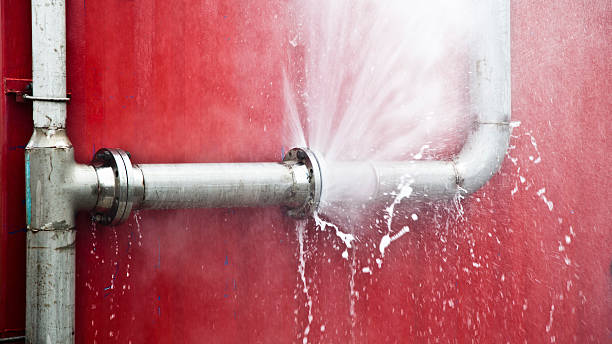 Best Commercial water damage restoration  in Bement, IL